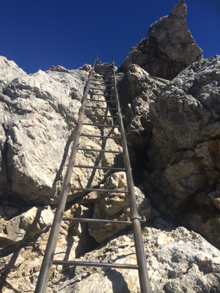 Leiter Heilbronner Weg